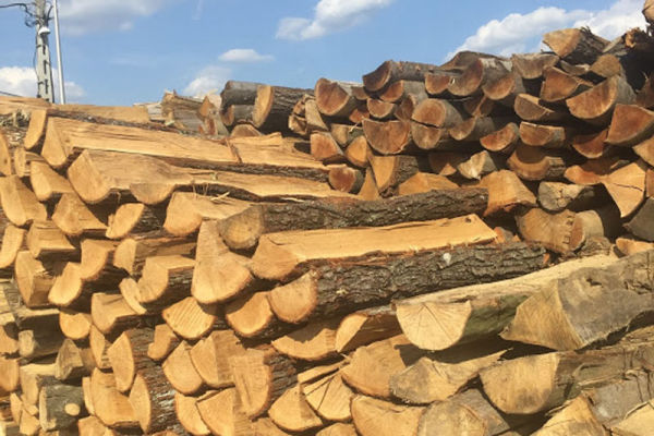 Méteres tűzifa Méteres tűzifa